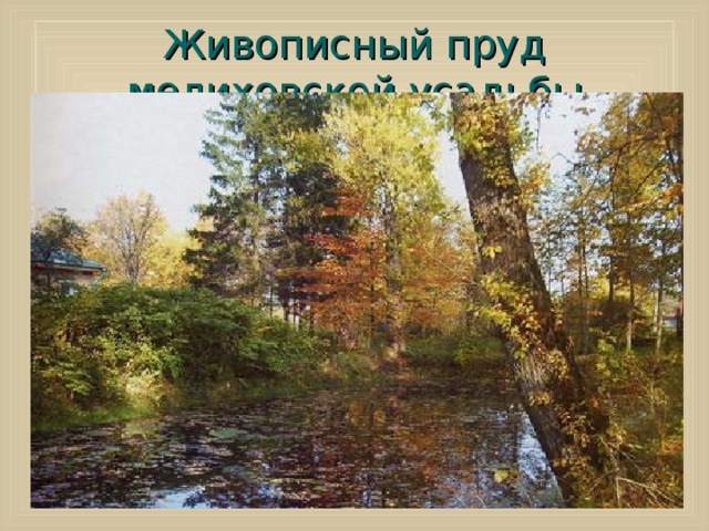 Живописный пруд мелиховской усадьбы  