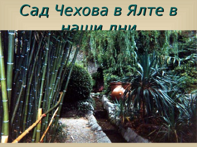 Сад Чехова в Ялте в наши дни  
