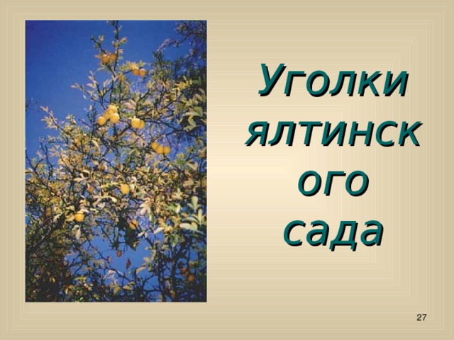 Уголки ялтинского сада  