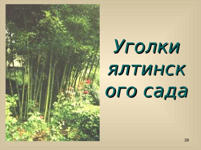 Уголки ялтинского сада  