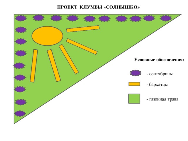 ПРОЕКТ КЛУМБЫ «СОЛНЫШКО» Условные обозначения: - сентябрины - бархатцы - газонная трава 