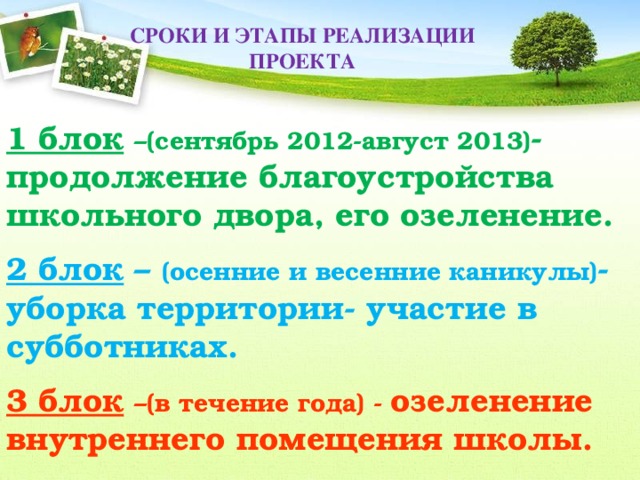 СРОКИ И ЭТАПЫ РЕАЛИЗАЦИИ ПРОЕКТА 1 блок  –(сентябрь 2012-август 2013) - продолжение благоустройства школьного двора, его озеленение. 2 блок – (осенние и весенние каникулы) - уборка территории- участие в субботниках. 3 блок  –(в течение года) - озеленение внутреннего помещения школы.     