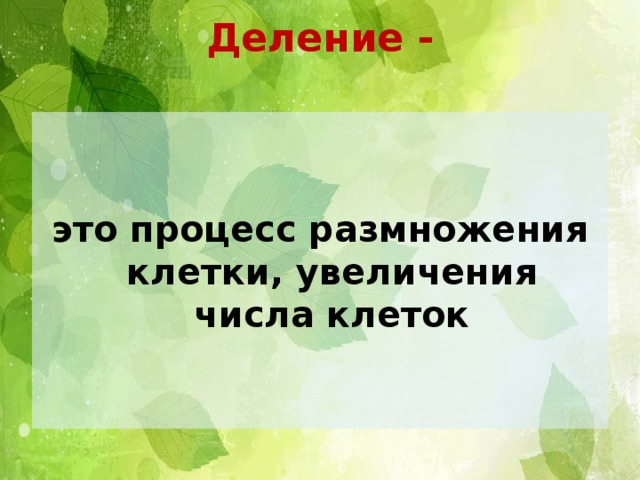 Деление -   это процесс размножения клетки, увеличения числа клеток 