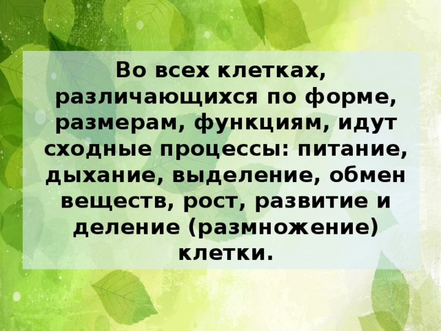 Во всех клетках, различающихся по форме, размерам, функциям, идут сходные процессы: питание, дыхание, выделение, обмен веществ, рост, развитие и деление (размножение) клетки. 