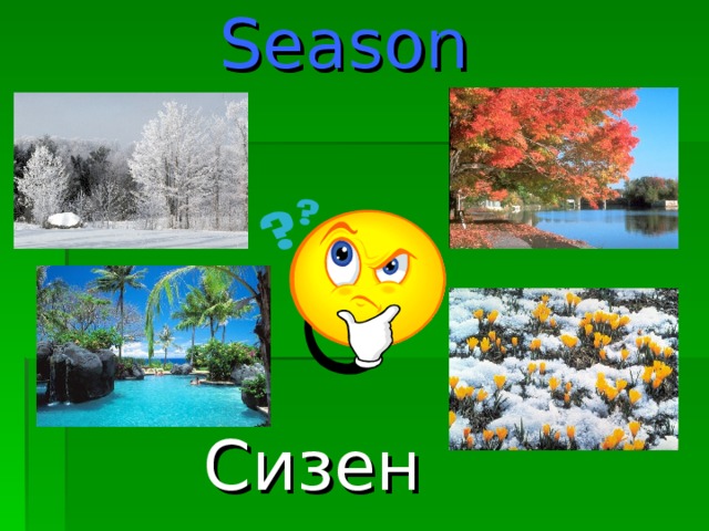 Season Сизен 