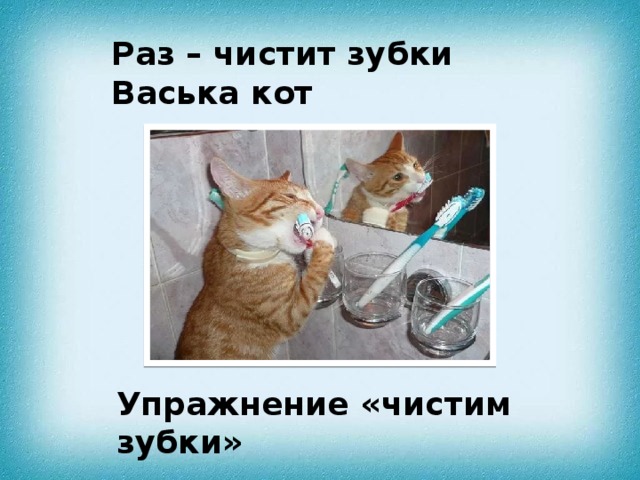 Раз – чистит зубки Васька кот Упражнение «чистим зубки» 
