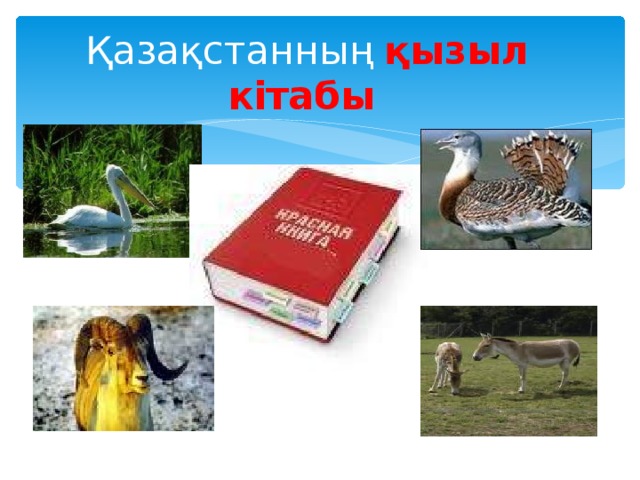 Қазақстан қызыл кітабы