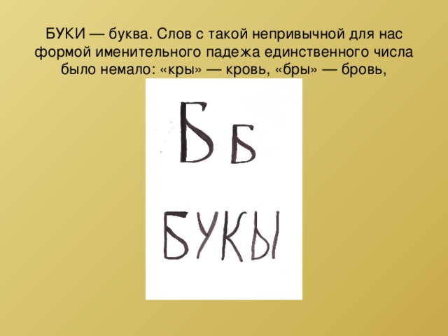   БУКИ — буква. Слов с такой непривычной для нас формой именительного падежа единственного числа было немало: «кры» — кровь, «бры» — бровь, «любы» — любовь. 