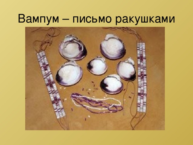 Вампум – письмо ракушками 