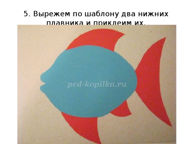 5. Вырежем по шаблону два нижних плавника и приклеим их. 