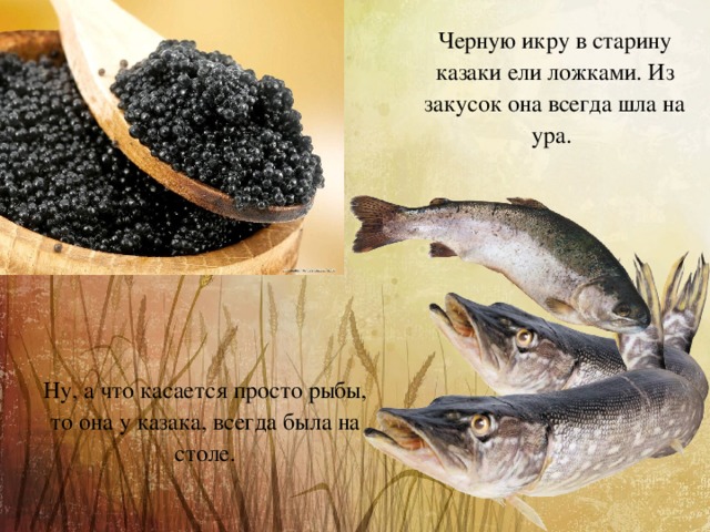  Черную икру в старину казаки ели ложками. Из закусок она всегда шла на ура. Ну, а что касается просто рыбы, то она у казака, всегда была на столе. 
