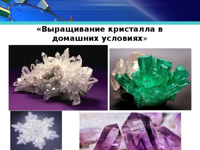 «Выращивание кристалла в домашних условиях »   