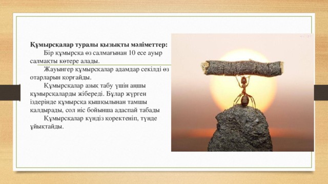 Құмырсқалар туралы қызықты мәліметтер:  Бір құмырсқа өз салмағынан 10 есе ауыр салмақты көтере алады.  Жауынгер құмырсқалар адамдар секілді өз отарларын қорғайды.  Құмырсқалар азық табу үшін аңшы құмырсқаларды жібереді. Бұлар жүрген іздерінде құмырсқа қышқылынан тамшы қалдырады, сол иіс бойынша адаспай табады  Құмырсқалар күндіз қоректеніп, түнде ұйықтайды. 