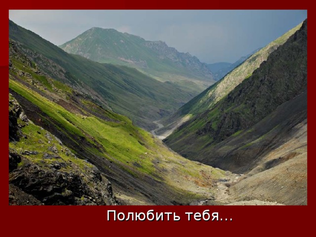 Полюбить тебя…