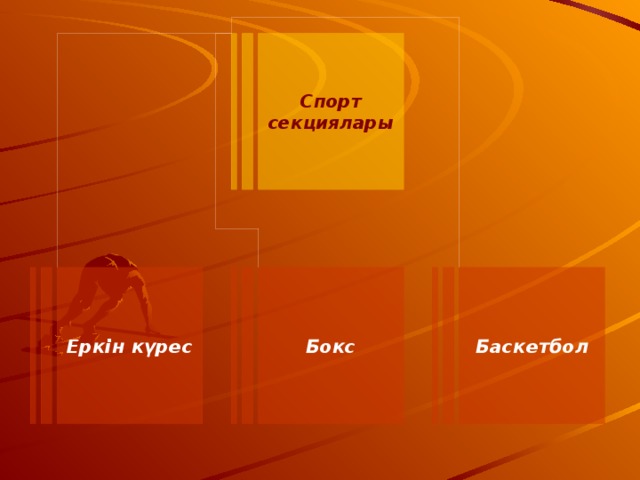 Спорт секциялары Еркін күрес Бокс Баскетбол 