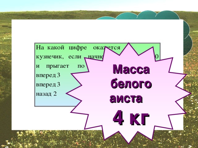 Решив эту задачу, мы узнаем среднюю массу белого аиста. На Масса белого аиста 4 кг 