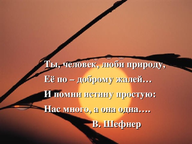 Ты, человек, люби природу, Её по – доброму жалей… И помни истину простую: Нас много, а она одна….  В. Шефнер Ты, человек, люби природу, Её по – доброму жалей… И помни истину простую: Нас много, а она одна….  В. Шефнер Ты, человек, люби природу, Её по – доброму жалей… И помни истину простую: Нас много, а она одна….  В. Шефнер Ты, человек, люби природу, Её по – доброму жалей… И помни истину простую: Нас много, а она одна….  В. Шефнер Ты, человек, люби природу, Её по – доброму жалей… И помни истину простую: Нас много, а она одна….  В. Шефнер  