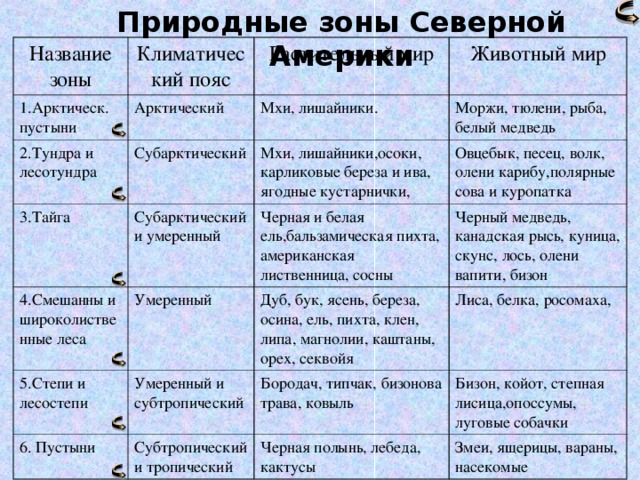 Природные зоны Северной Америки Название зоны Климатический пояс 1.Арктическ. пустыни Растительный мир Арктический 2.Тундра и лесотундра Животный мир Мхи, лишайники. Субарктический 3.Тайга Слайд 11 4.Смешанны и широколиственные леса Моржи, тюлени, рыба, белый медведь Мхи, лишайники,осоки, карликовые береза и ива, ягодные кустарнички, Субарктический и умеренный 5.Степи и лесостепи Умеренный Черная и белая ель,бальзамическая пихта, американская лиственница, сосны Овцебык, песец, волк, олени карибу,полярные сова и куропатка Черный медведь, канадская рысь, куница, скунс, лось, олени вапити, бизон 6. Пустыни Дуб, бук, ясень, береза, осина, ель, пихта, клен, липа, магнолии, каштаны, орех, секвойя Умеренный и субтропический Бородач, типчак, бизонова трава, ковыль Субтропический и тропический Лиса, белка, росомаха, Бизон, койот, степная лисица,опоссумы, луговые собачки Черная полынь, лебеда, кактусы Змеи, ящерицы, вараны, насекомые 