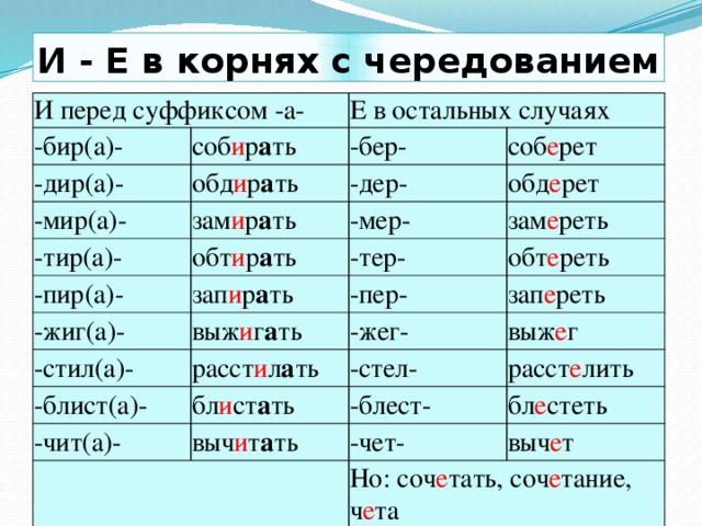 И - Е в корнях с чередованием И перед суффиксом -а- -бир(а)- -дир(а)- Е в остальных случаях соб и р а ть -мир(а)- обд и р а ть -бер- -дер- соб е рет зам и р а ть -тир(а)- -пир(а)- обд е рет -мер- обт и р а ть зап и р а ть зам е реть -тер- -жиг(а)- обт е реть -пер- выж и г а ть -стил(а)- зап е реть -блист(а)- -жег- расст и л а ть -чит(а)- бл и ст а ть -стел- выж е г расст е лить -блест- выч и т а ть   бл е стеть -чет- выч е т Но: соч е тать, соч е тание, ч е та 