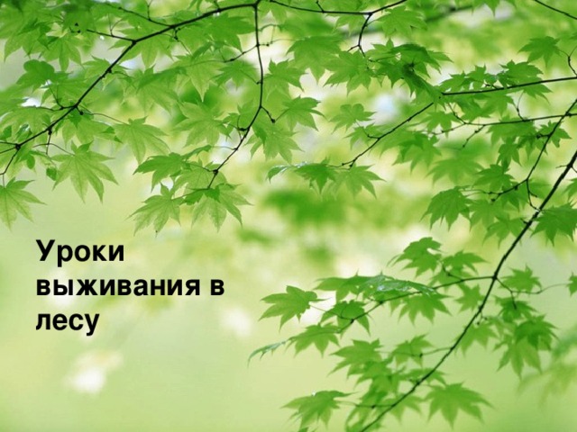 Уроки выживания в лесу 