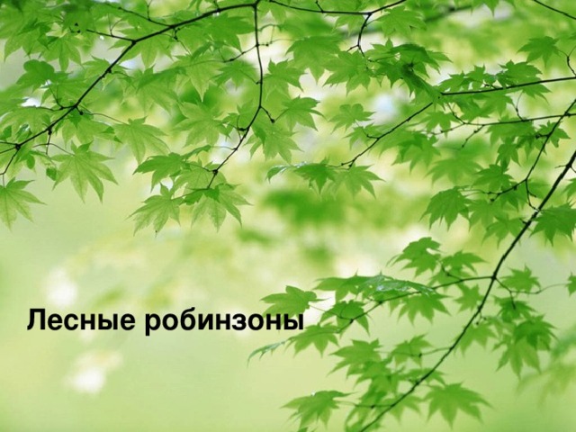  Лесные робинзоны  