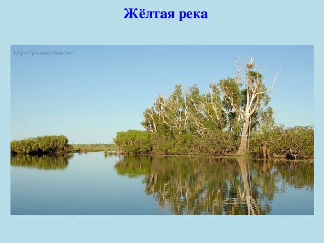   Жёлтая река 