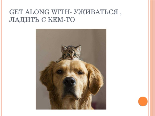 Get along with- уживаться , ладить с кем-то 