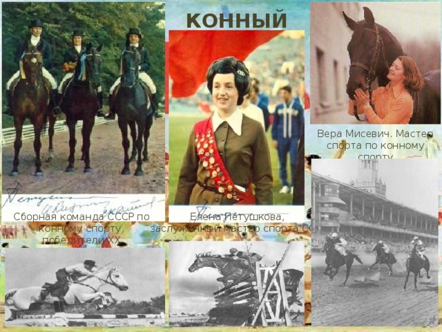 КОННЫЙ СПОРТ Вера Мисевич. Мастер спорта по конному спорту Сборная команда СССР по конному спорту, победители XX Олимпийских игр Елена Петушкова, заслуженный мастер спорта СССР  