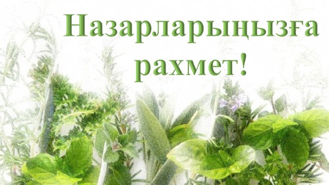 Презентация дәрілік өсімдіктер