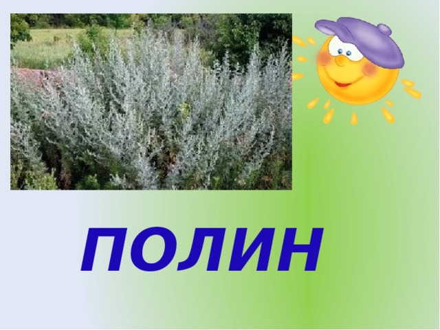 ПОЛИН 