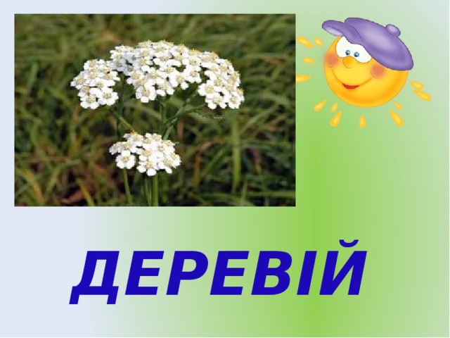 ДЕРЕВІЙ 