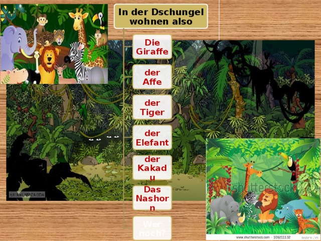 In der Dschungel wohnen also Die Giraffe der Affe der Tiger der Elefant der Kakadu Das Nashorn Wer noch ? 21 