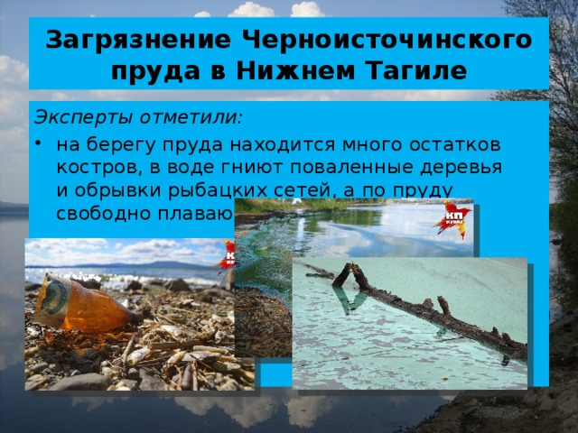 Загрязнение Черноисточинского пруда в Нижнем Тагиле Эксперты отметили: на берегу пруда находится много остатков костров, в воде гниют поваленные деревья и обрывки рыбацких сетей, а по пруду свободно плавают моторные лодки 