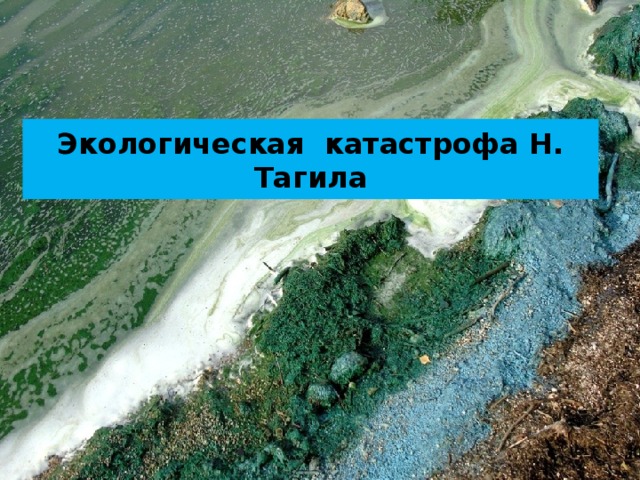 Экологическая катастрофа Н. Тагила 