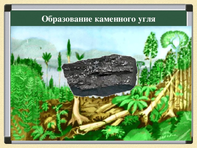 Образование каменного угля 