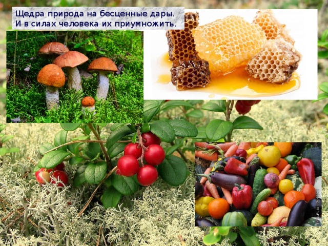 Щедра природа на бесценные дары. И в силах человека их приумножить. 