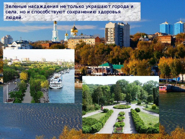 Зеленые насаждения не только украшают города и села, но и способствуют сохранению здоровья людей. 