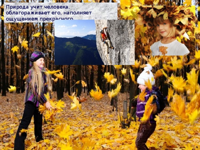 Природа учит человека, облагораживает его, наполняет ощущением прекрасного. 