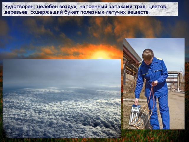 Чудотворен, целебен воздух, напоенный запахами трав, цветов, деревьев, содержащий букет полезных летучих веществ. 