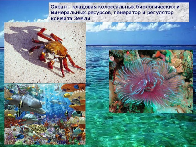 Океан – кладовая колоссальных биологических и минеральных ресурсов, генератор и регулятор климата Земли. 