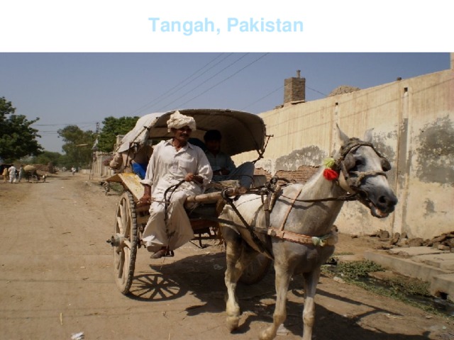 Tangah, Pakistan   