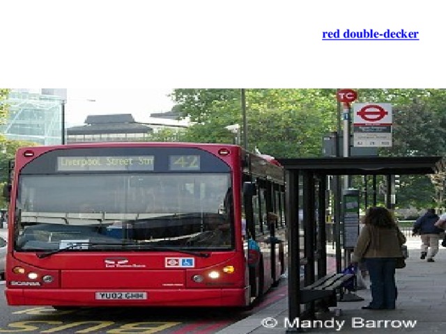 There are two main kinds of buses in London: the red double-decker and the red single-decker. 