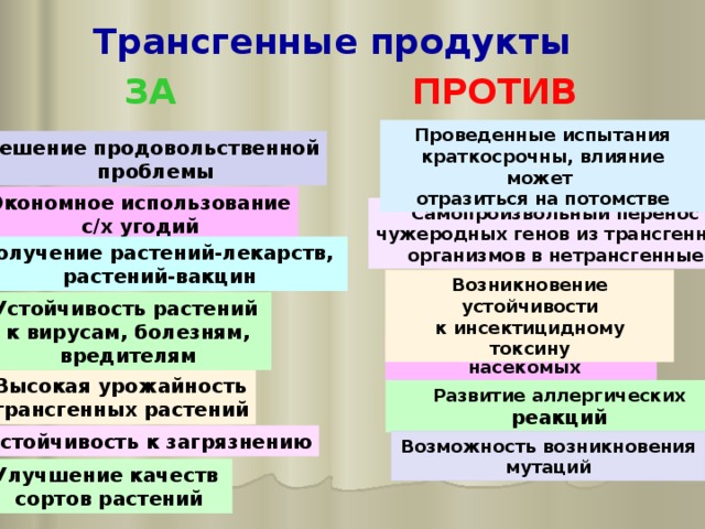 Трансгенные продукты ЗА ПРОТИВ Проведенные испытания краткосрочны, влияние может отразиться на потомстве Решение продовольственной  проблемы Экономное использование с/х угодий Самопроизвольный перенос чужеродных генов из трансгенных организмов в нетрансгенные Получение растений-лекарств, растений-вакцин Возникновение устойчивости к инсектицидному токсину Устойчивость растений к вирусам, болезням, вредителям Поражение невредных  насекомых Высокая урожайность трансгенных растений Развитие аллергических реакций Устойчивость к загрязнению Возможность возникновения мутаций Улучшение качеств сортов растений 