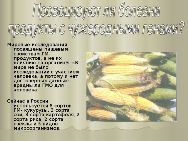 Мировые исследования посвящены пищевым свойствам ГМ- продуктов, а не их влиянию на организм. «В мире не было исследований с участием человека, а потому и нет достоверных данных: вредны ли ГМО для человека. Сейчас в России используется 6 сортов ГМ- кукурузы, 3 сорта сои, 3 сорта картофеля, 2 сорта риса, 2 сорта свёклы и 5 видов микроорганизмов. 