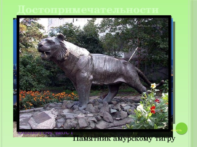 Достопримечательности Золотой мост Владивостокская крепость Памятник амурскому тигру 