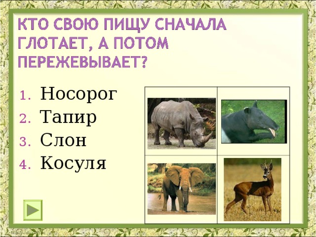 Носорог Тапир Слон Косуля 