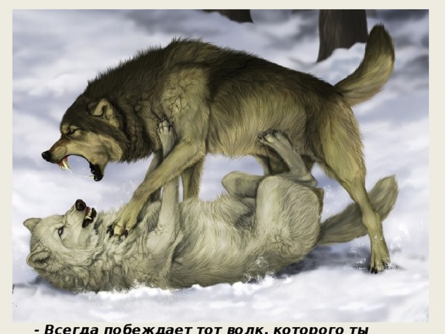 Притча о Добре и Зле Когда-то давно старый индеец открыл своему внуку жизненную истину: - В каждом человеке идет борьба, очень похожая на борьбу двух волков. Один волк представляет зло – зависть, ревность, эгоизм, амбиции, ложь… Другой волк представляет добро – мир, любовь, надежду, истину, доброту, верность… Маленький индеец, тронутый до глубины души словами деда, на несколько мгновений задумался, а потом спросил: - А какой волк в конце побеждает? Старый индеец едва заметно улыбнулся и ответил: - Всегда побеждает тот волк, которого ты кормишь.» 