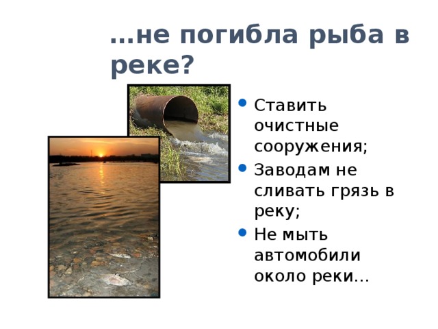 Международный день защиты окружающей среды от пожаров и промышленных загрязнений состоится 5 ИЮНЯ. ДЕНЬ ОКРУЖАЮЩЕЙ СРЕДЫ. 2013 год объявлен Годом ОХРАНЫ ОКРУЖАЮЩЕЙ СРЕДЫ в Российской Федерации. Идея проекта пришла с Катей Татьяной