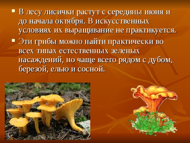 Летом в лесу приятно пахнет грибами составить схему предложения учи ру