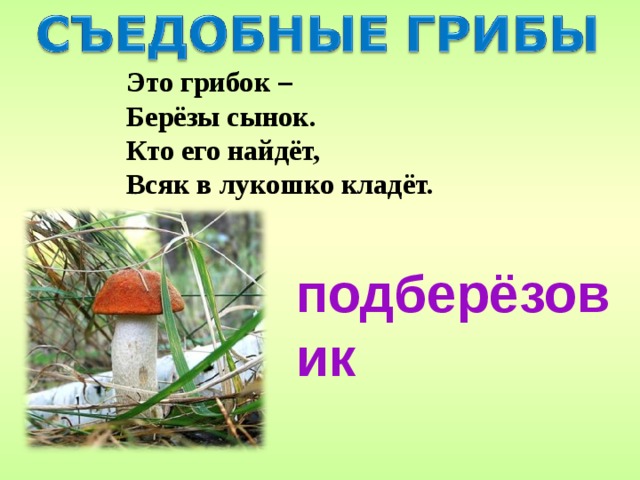 Это грибок –  Берёзы сынок. Кто его найдёт, Всяк в лукошко кладёт. подберёзовик